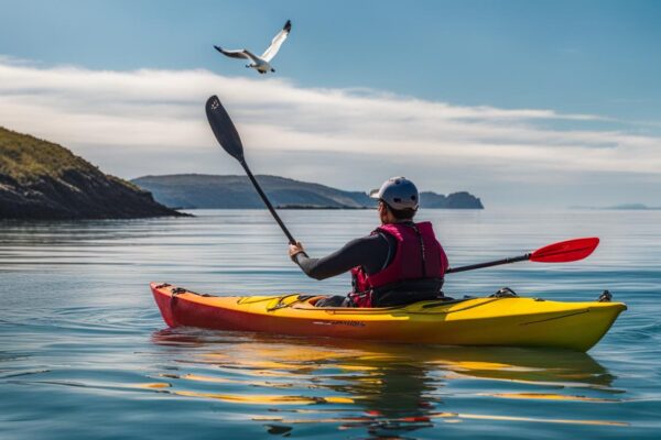 Beginner sea kayaking