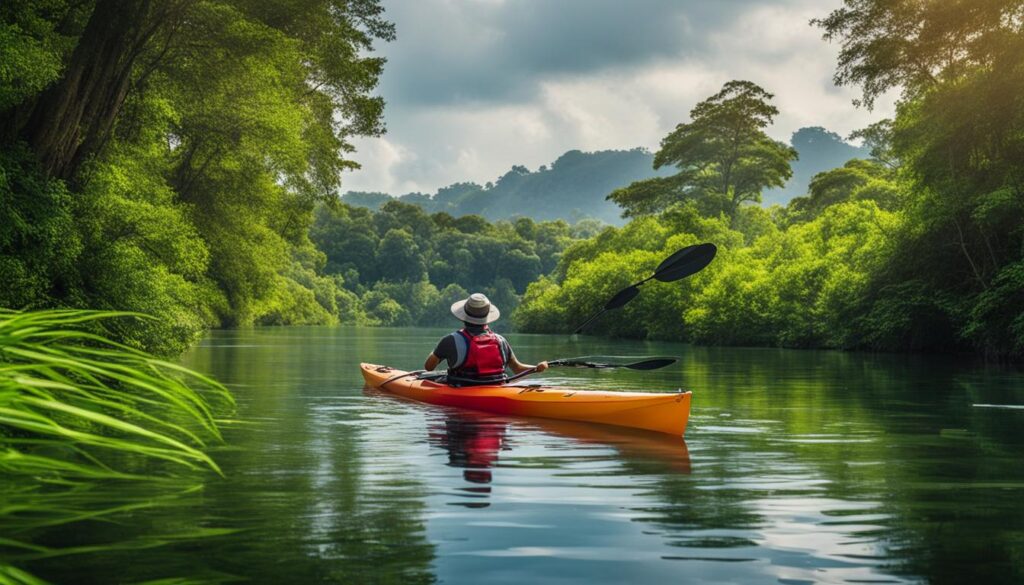 Guided kayak tours in nature areas