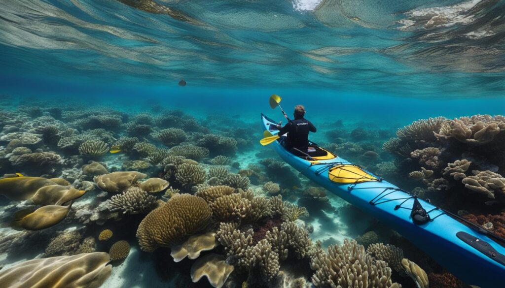 sea kayaking and habitat protection